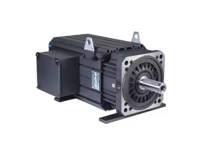 What is the main disadvantage of a servo motor
